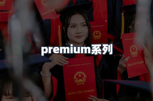 premium系列